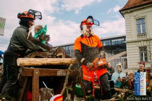 Litijski Karneval 2019-14